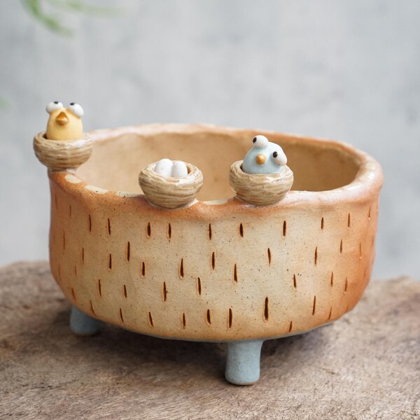 Bird ceramic plant pot , cactus ,Bird planter, handmade ceramic,flower pot,planter , eggs.