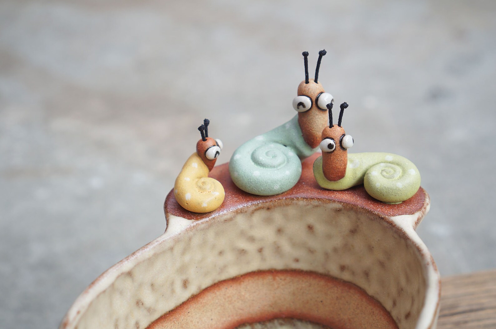 Snail pot Snail plant pot Handmade ceramics pottery Etsy