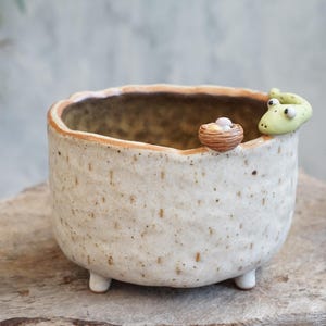 May include: A speckled ceramic planter with a frog and nest design. The off-white pot has a textured surface, a brown rim, and three small feet. A light green frog and a small nest with eggs are attached to the rim.
