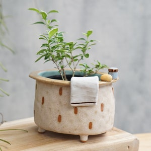 Bathtub plant pot ,bath,succulent pots , pinch pot.