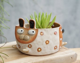 Rabbit pot , cactus , handmade ceramic , pottery