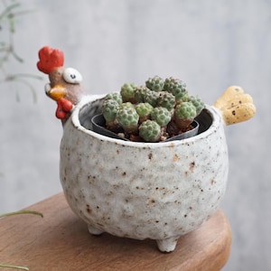 Puede incluir: Una maceta de cerámica blanca moteada con forma de gallina, con cresta roja y pico amarillo. La maceta contiene una pequeña suculenta verde. La maceta tiene tres patas pequeñas y un ala amarilla.