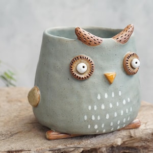 Owl  plant pot, Owl planter,  handmade ceramic