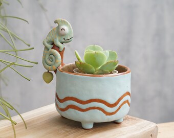 Branch with chameleon plant pot for cactus , handmade ceramic , pottery