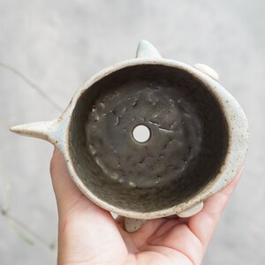Shark pot , Shark plant pot , Handmade ceramics , pottery image 9