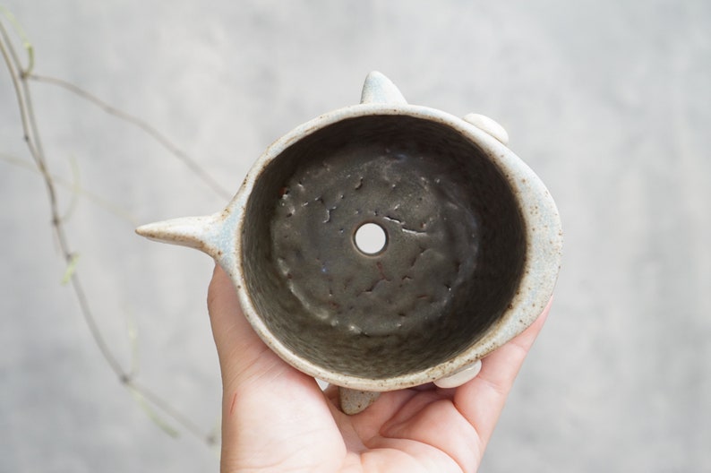 Shark pot , Shark plant pot , Handmade ceramics , pottery image 9