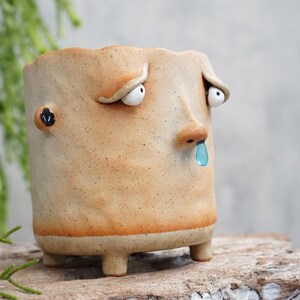 Mini pots, small planter with drainage, Snot, Sick, succulent Pot ,Ceramic Planter Face,face planter,plant pot unique