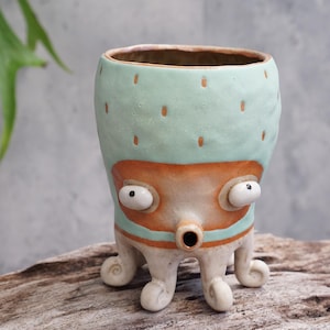 Pulpo, pez globo, calamar, maceta, cerámica hecha a mano