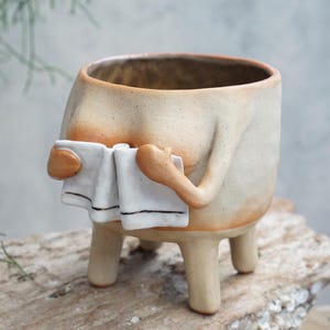 A funny plant pot,  underwear , Succulent Pots, Ceramic Planter