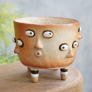 Succulent Pots Ceramic Planter Face ,polka dot image 3