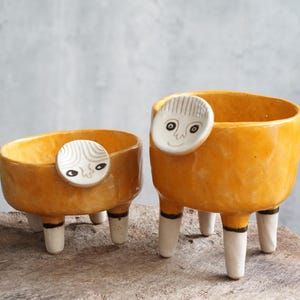 Sukkulenten Töpfe Keramik Planter Face, 2er SET.