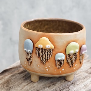 Jellyfish planter ,Fish plant pot, handmade ceramic , cactus