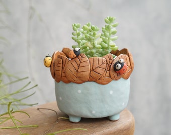 Ladybugs ceramic plant pot , cactus ,Ladybugs planter, handmade ceramic,flower pot,planter