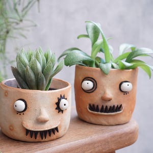Kleine Sukkulenten Töpfe Set Keramik Gesicht,Hut,Mustache,polka dot