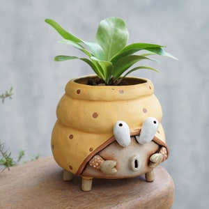 Hermit crab plant pot handmade ceramic