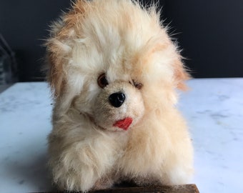 Vintage Toy Dog....Up For Adoption Charming Doggy, House Trained And Low Maintenance
