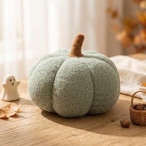 May include: A sage green pumpkin-shaped plush pillow with a textured, sherpa-like fabric finish. The decorative item features a brown, fuzzy stem at the top and a rounded, segmented body design that mimics the appearance of a real pumpkin.