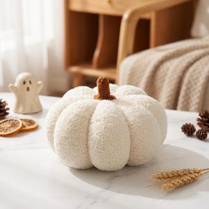 May include: A round, cream-colored pumpkin decoration made of a textured, fuzzy fabric. The pumpkin features deep, vertical segments and a small, brown, nubby stem at the top center. The surface of the pumpkin has a soft, plush appearance.