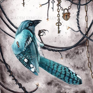 La ilusión de la elección: Impresión artística de un pájaro arrendajo azul