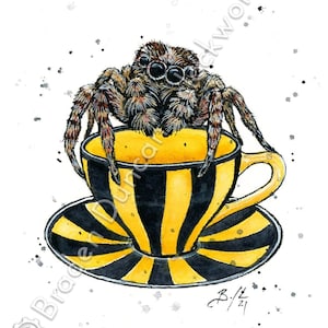 Teacup Jumping Spider - Wildlife Victorian Steampunk Watercolour Print