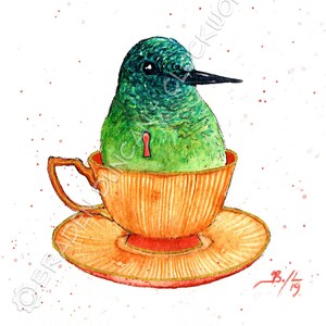 Teacup Hummingbird - Wildlife Victorian Steampunk Watercolour Print