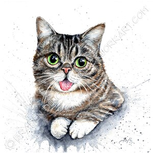 Lil Bub Etsy UK