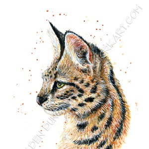 Serval - Art for Charity Watercolour Wildcat Print