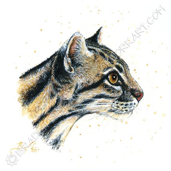 Ocelot Art for Charity Watercolour Wildcat Print Etsy UK