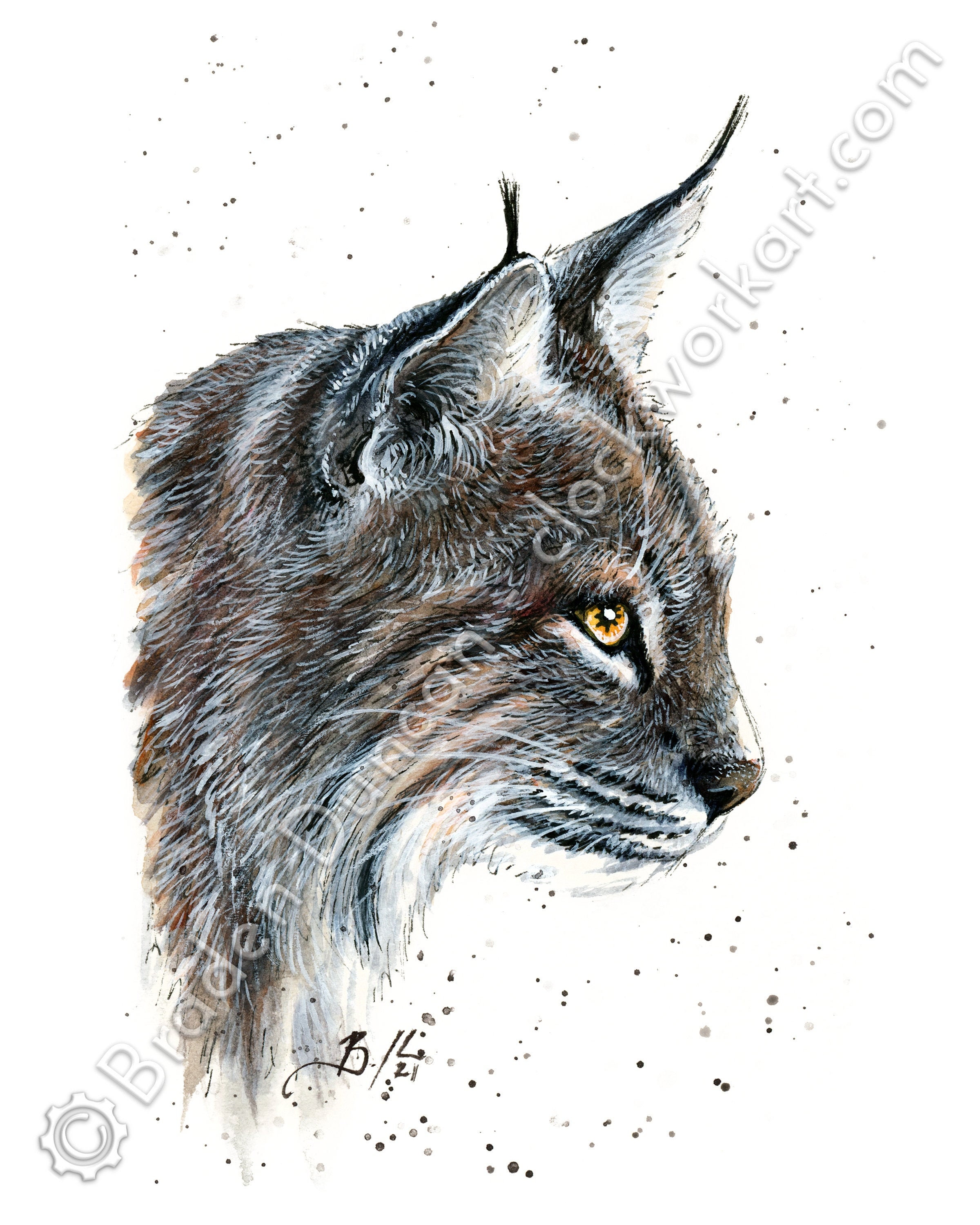 Realistic Wildcat Drawing