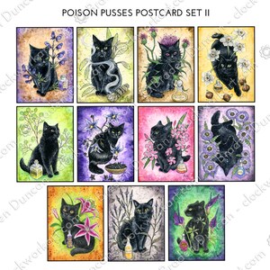 Juego de postales de gatos venenosos II: tarjetas de gato negro de la naturaleza de la bruja mística