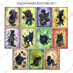 Poison Pusses Postkarten Set I - Mystische Hexen Natur Schwarze Katze Karten