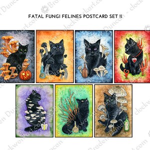 Set di cartoline Fatal Fungi Felines II - Fungo Natura Cartoline Gatto Nero