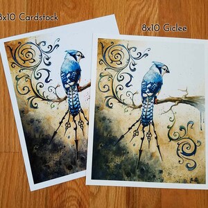 Something Borrowed Something Blue: Fine Art Bluejay Print image 2