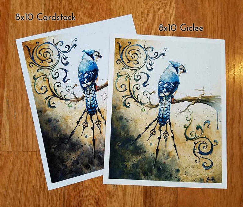 Something Borrowed Something Blue: Fine Art Bluejay Print image 2