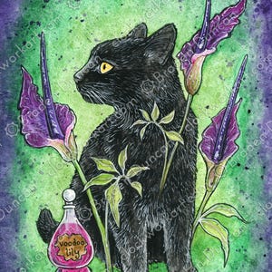 Poison Puss: Voodoo Lily - Acuarela Bruja Magia Naturaleza Gato Negro Impresión