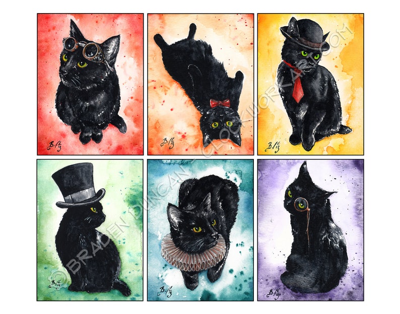 An Elegant Ruff Fine Art Watercolour Black Cat Print Etsy