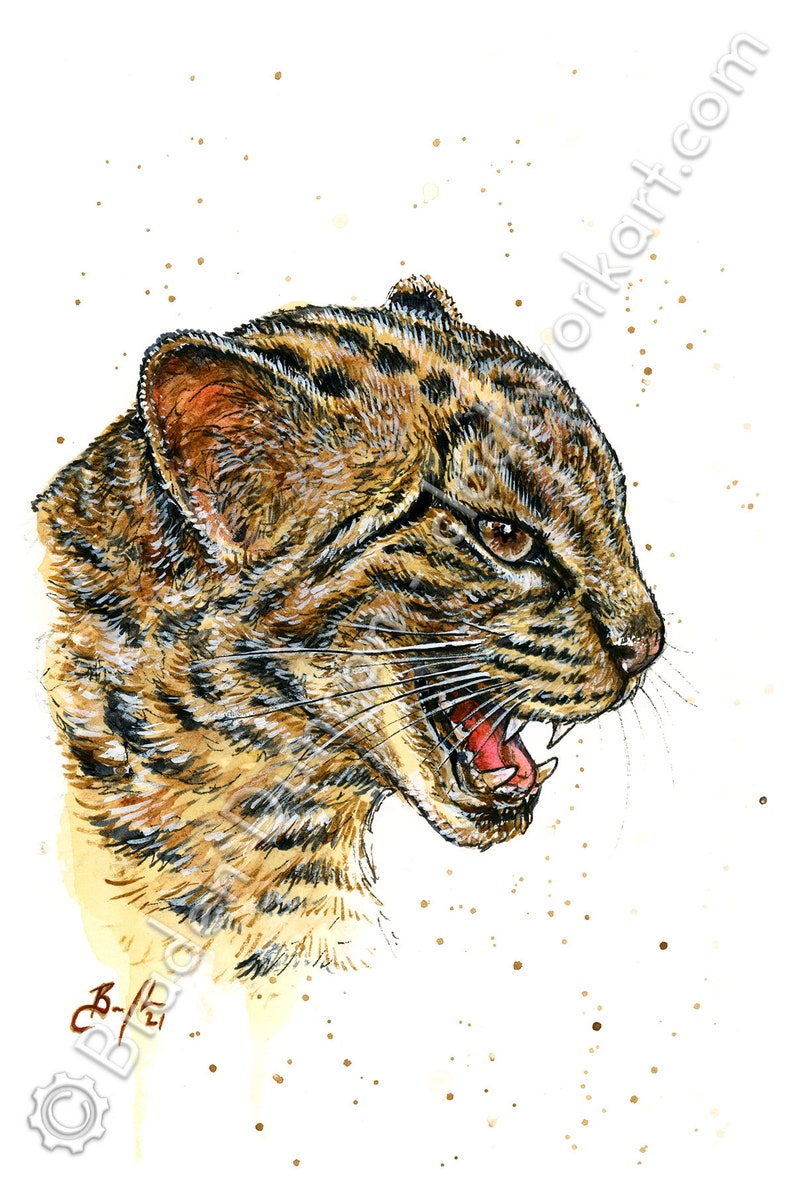 ORIGINAL WATERCOLOUR Marbled Cat Art for Charity Wildcat Painting with Frame