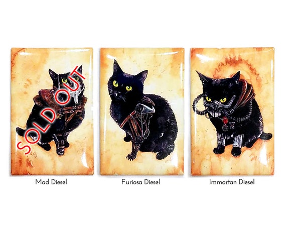 all black cat for sale