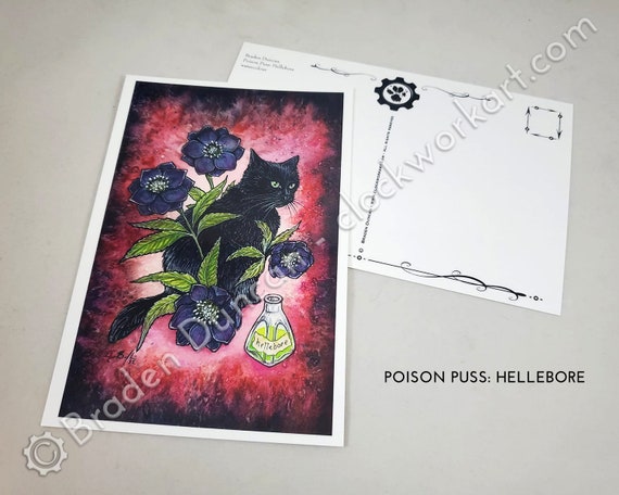 Poison Puss: Hellebore - Watercolour Witch Magic Nature Black Cat