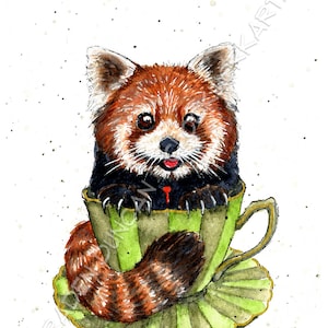 Theekopje rode panda - Victoriaanse steampunk-aquarelprint met dieren in het wild