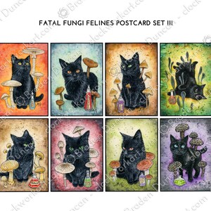 Juego de postales de hongos fatales y felinos III: tarjetas de gatos negros de la naturaleza de los hongos