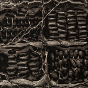 May include: A close-up of a textured, black and white abstract design. The design is made up of repeating shapes that resemble small, rounded stones. The design is divided into four sections by a network of branches.