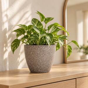 Vaso de plantas moderno com aparência de pedra – Vaso minimalista para interiores, ideal para bonsai, suculentas e decoração de casa.