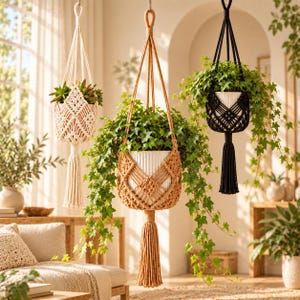 May include: Three macrame plant hangers in cream, tan, and black, each featuring intricate knotted patterns and a long bottom tassel. These hanging holders support white ribbed pots containing lush green ivy and succulent plants.