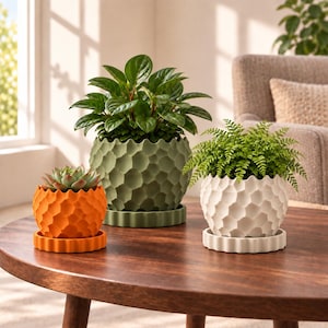 May include: Three round plant pots with a textured honeycomb pattern and matching saucers. One small orange pot holds a succulent, a large sage green pot contains a leafy green plant, and a medium white pot holds a small fern plant.
