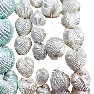 Full strand Nautilus shell drawer knob pendant , 10-20mm 15.5" Screw nautilus shell cabinet Sea shell beads