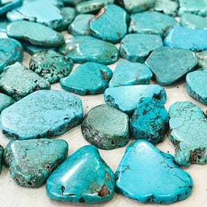 May include: A collection of loose, polished turquoise stones in various irregular shapes and sizes. The stones feature a vibrant cyan-blue color with dark brown and black matrix veining patterns throughout the smooth, glossy surfaces.