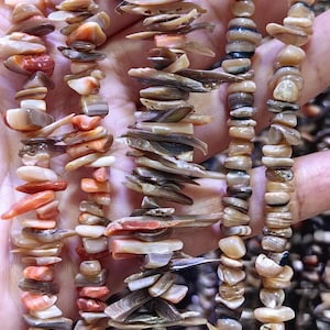 Puede incluir: Múltiples hilos de fragmentos de concha irregulares y pulidos en tonos crema, bronceado, marrón y naranja coral. Las cuentas están ensartadas juntas, mostrando variaciones naturales en color, textura y forma a lo largo de las piezas de concha.