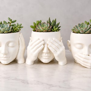May include: Three white ceramic head-shaped planters, each containing green succulents. The first figure covers its ears, the second covers its eyes with both hands, and the third covers its mouth with one hand, representing the three wise monkeys.