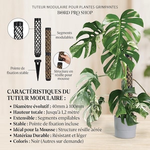 May include: A modular black plant stake for climbing plants with a mesh structure for moss. It features stackable segments, a stable pointed base, and a total height of up to 1.2 meters. The stake supports a variegated monstera plant in a gray pot.